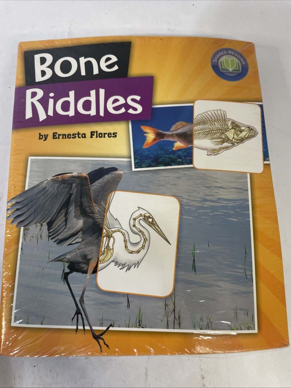 Fountas & Pinell Literacy Sealed 6 Pack Book Set Bone Riddles